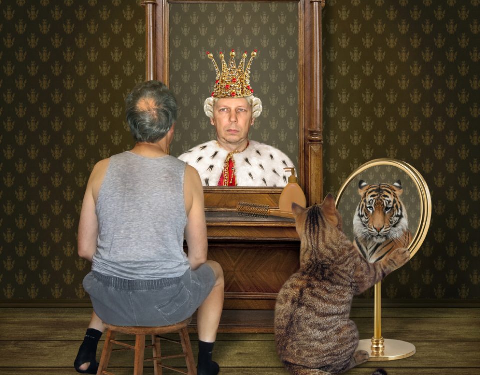 Keď sa Simba stane kráľom predčasne