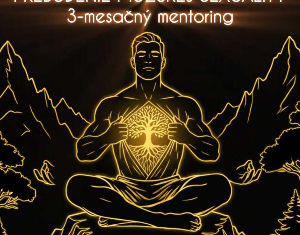 PREBUDENIE SEXUALITY MUŽA – 3 mesačný mentoringový program